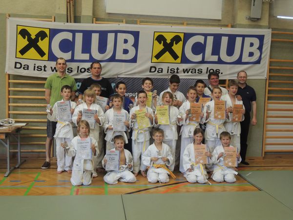 2013 judo bezm