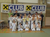 Judo Bezirksmeisterschaft 08.06.2013 in Amstetten