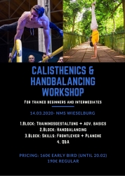 CALISTHENICS & HANDBALANCING WORKSHOP